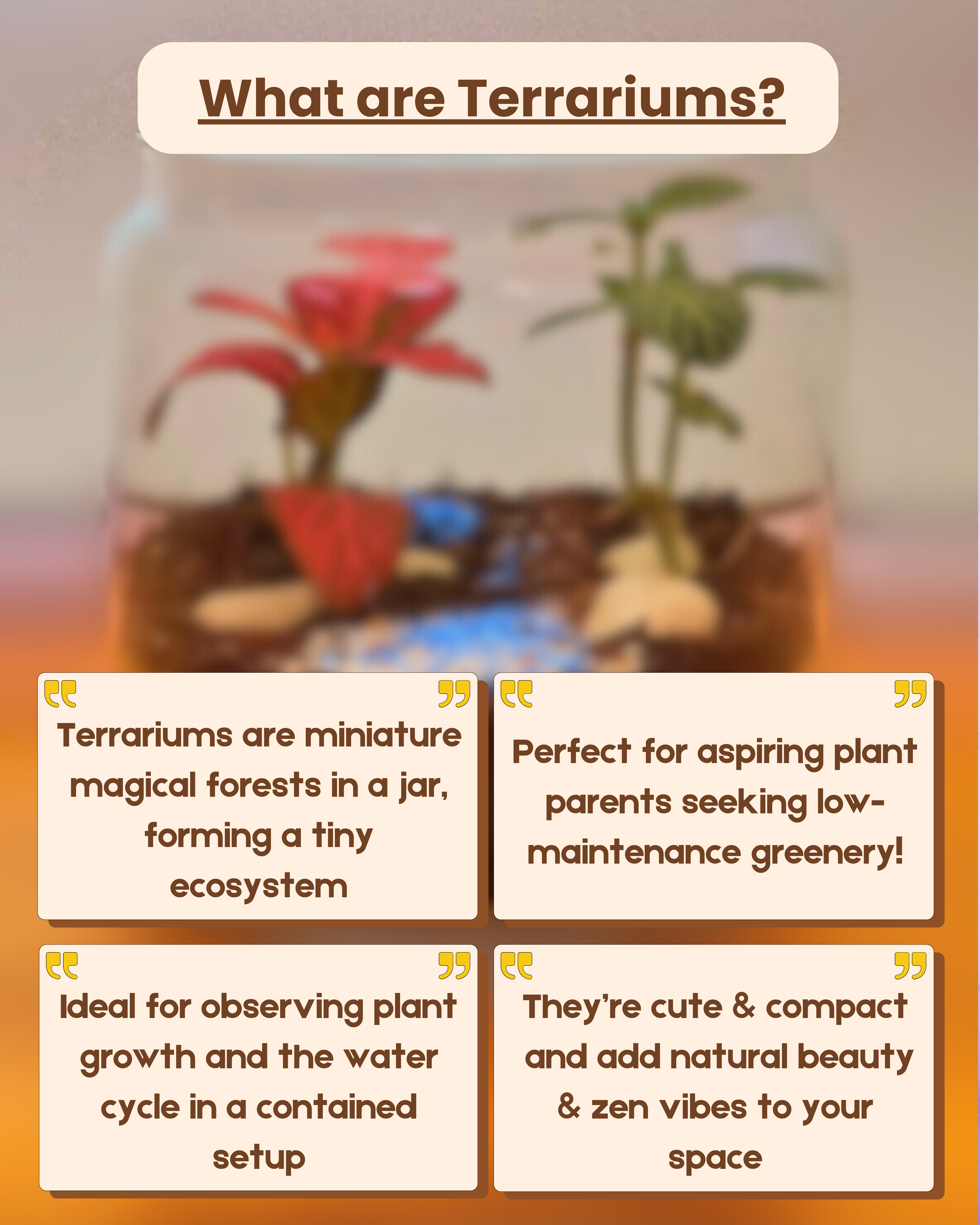 Organic Fertilizer v/s Biofertilizer