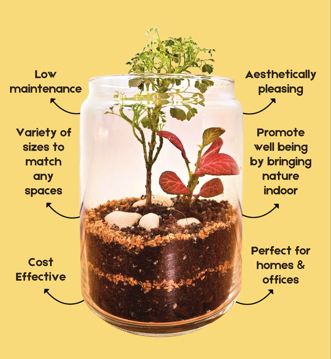 Benefits of PlantSatva